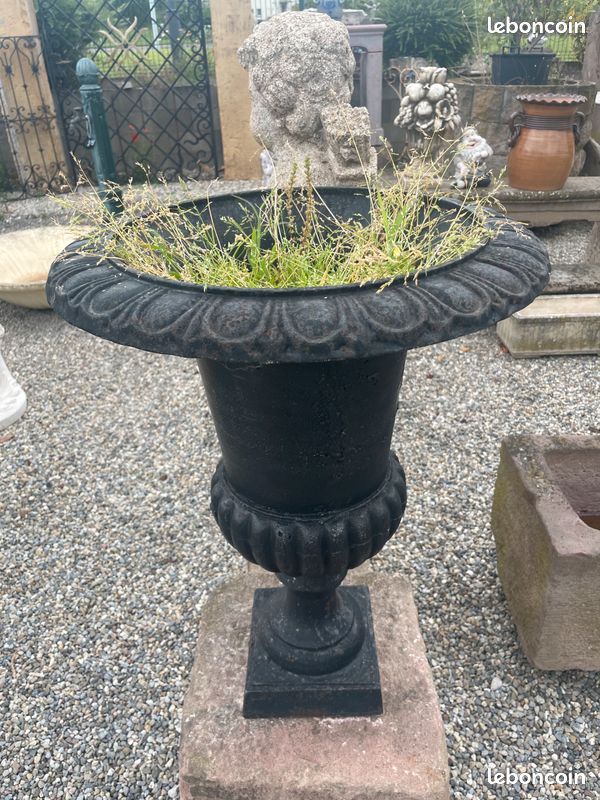 Paire de vases / vasques Médicis en fonte de fer 62 cm