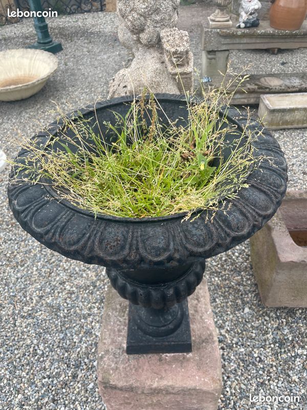 Paire de vases / vasques Médicis en fonte de fer 62 cm